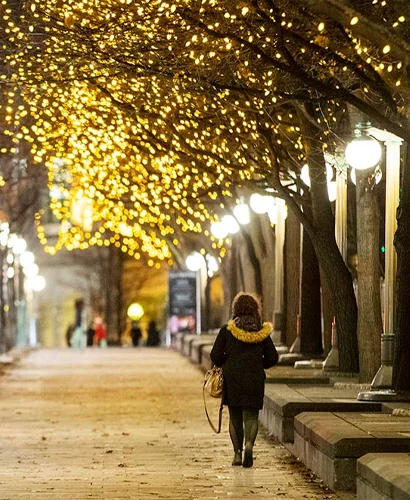 Lumiere de Noel canada